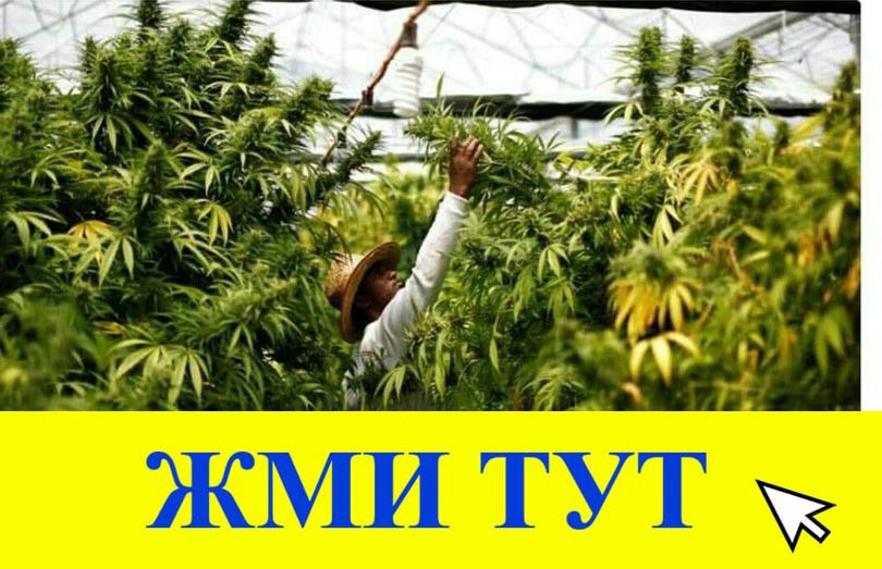 Купить наркотики в Великом Устюге